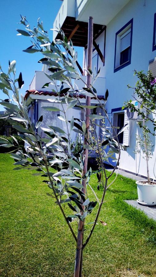 Zephyros Studios And Family Apartments Ormos Panagias Exterior foto